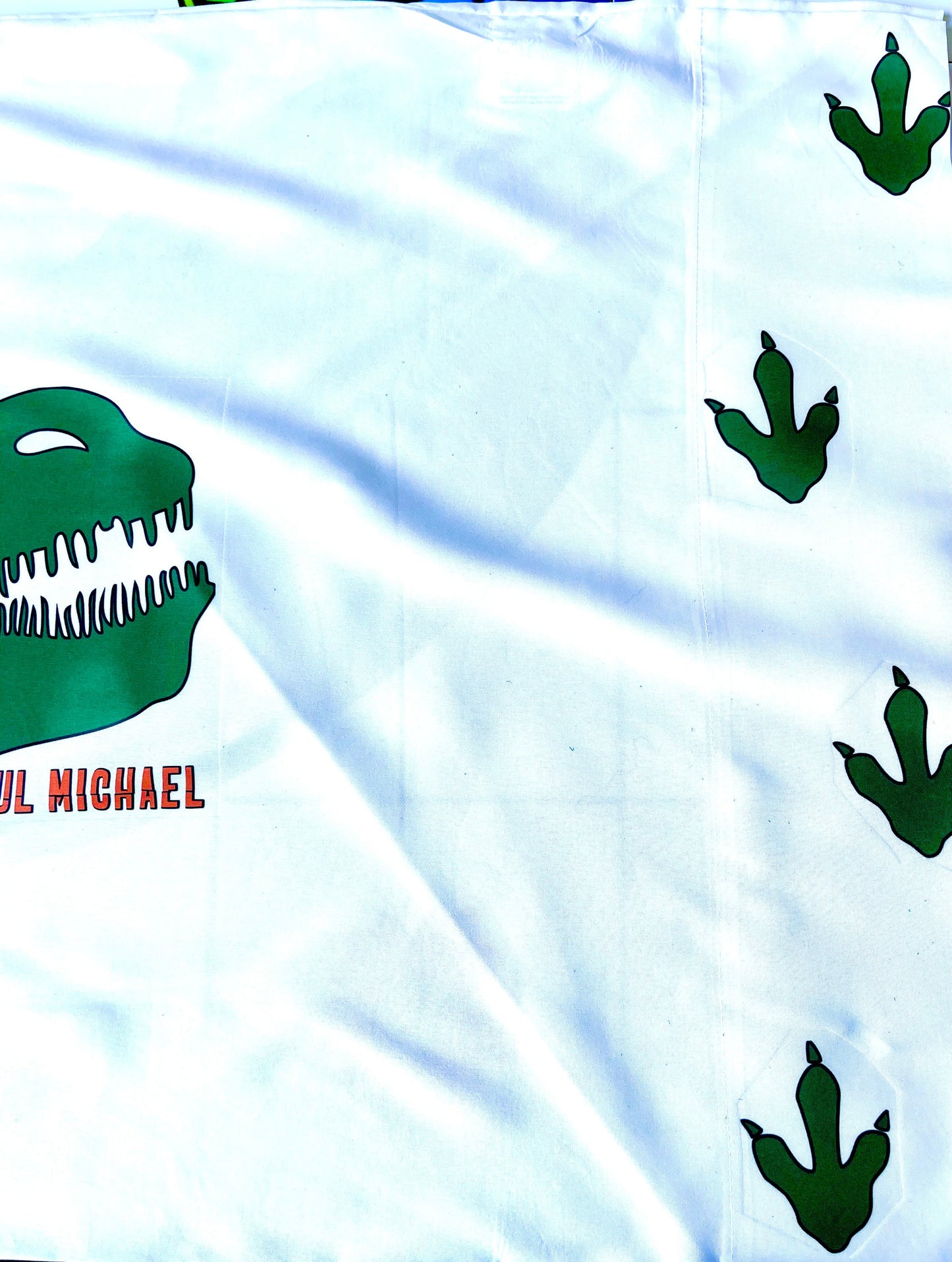 Tyrannosaurus Rex Pillow Case Standard/queen!!! ROAR them to sleep.