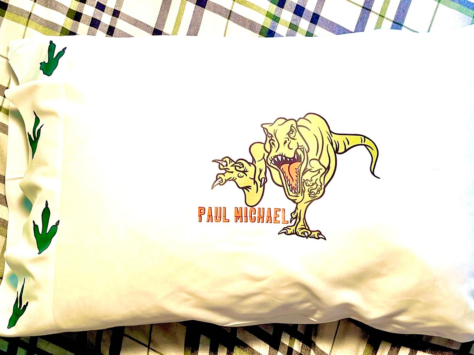 Tyrannosaurus Rex Pillow Case Standard/queen!!! ROAR them to sleep.