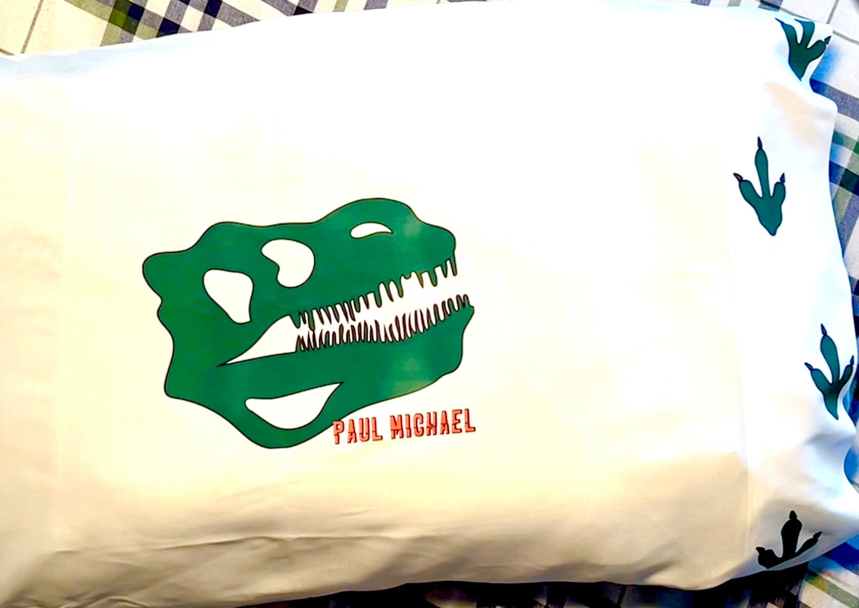 Tyrannosaurus Rex Pillow Case Standard/queen!!! ROAR them to sleep.