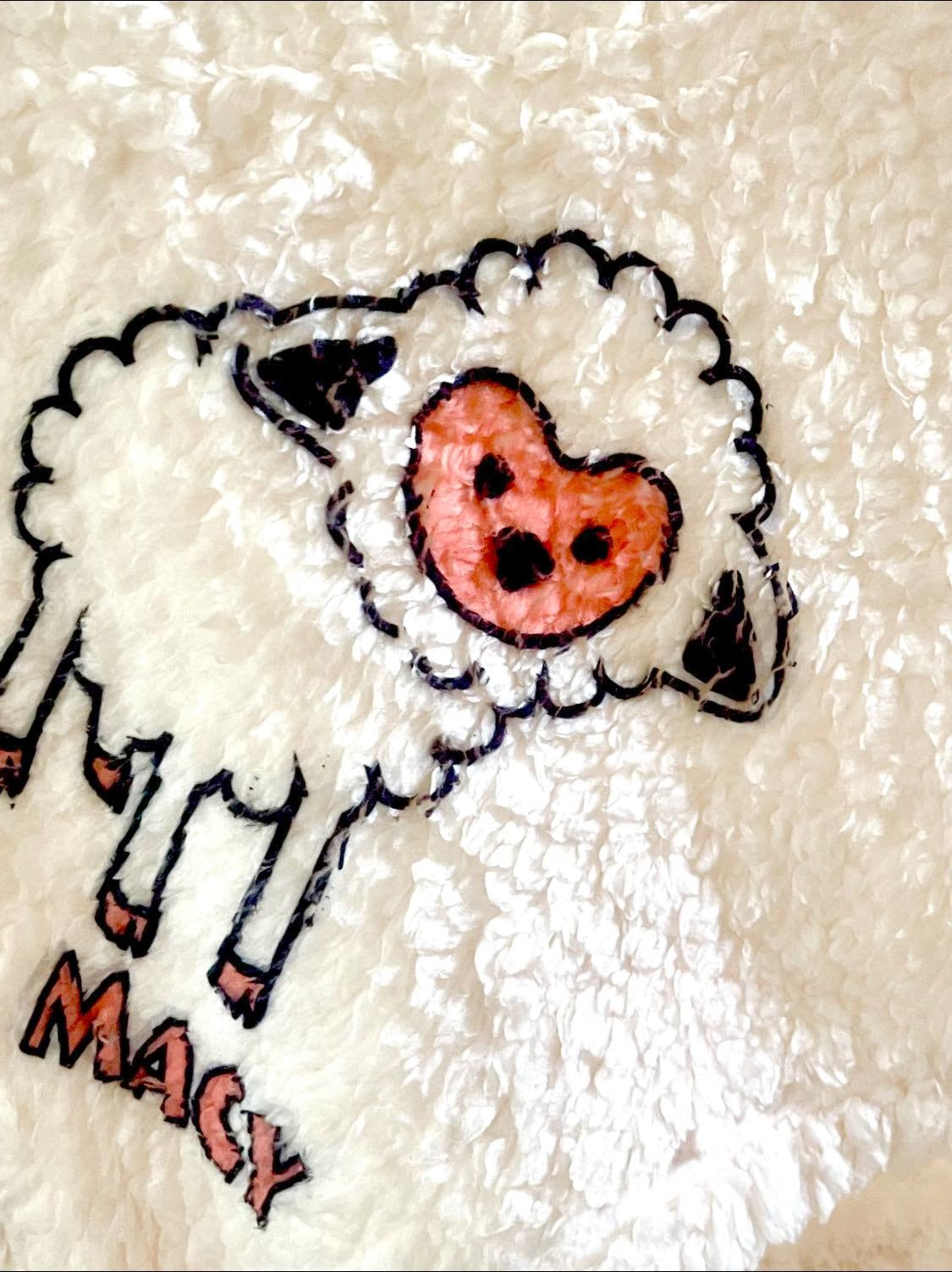 Pom Pom fringe blanket with either Zebra, Penquin, Lamb or Polar Bear (my favorite) super soft and cozy