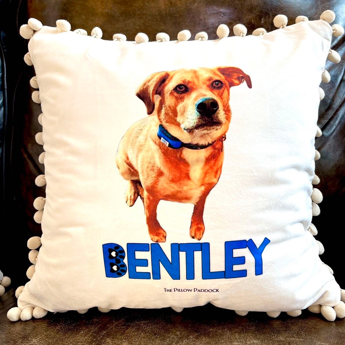 Custom Pet Pillow, samples of what we can offer and have done for customers. Pom Pom velour or Farm syle beige linen with name and image.