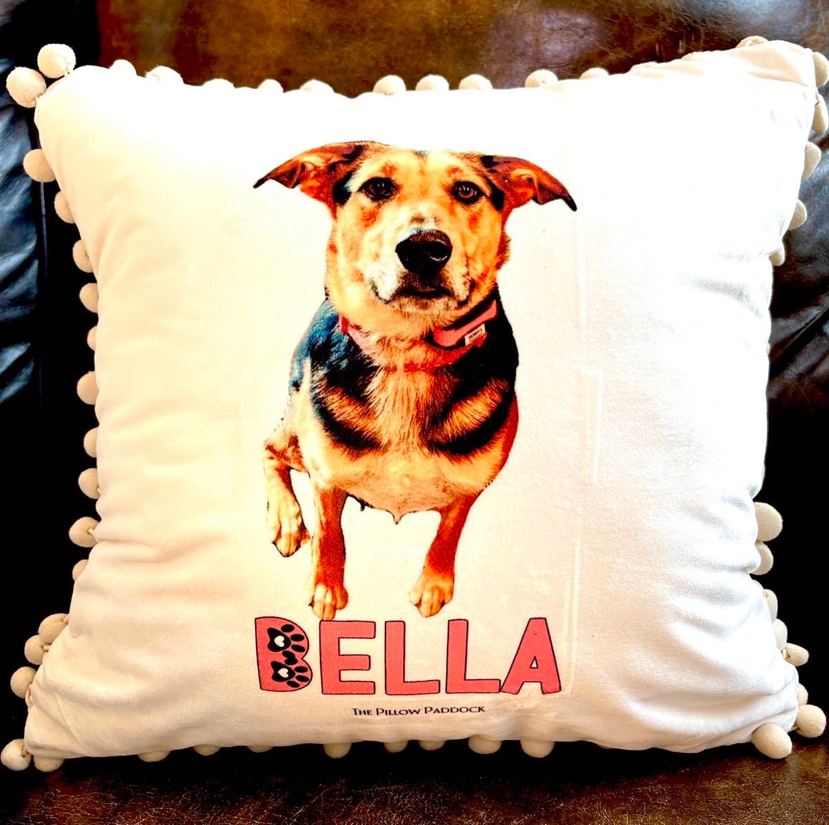 Custom Pet Pillow, samples of what we can offer and have done for customers. Pom Pom velour or Farm syle beige linen with name and image.