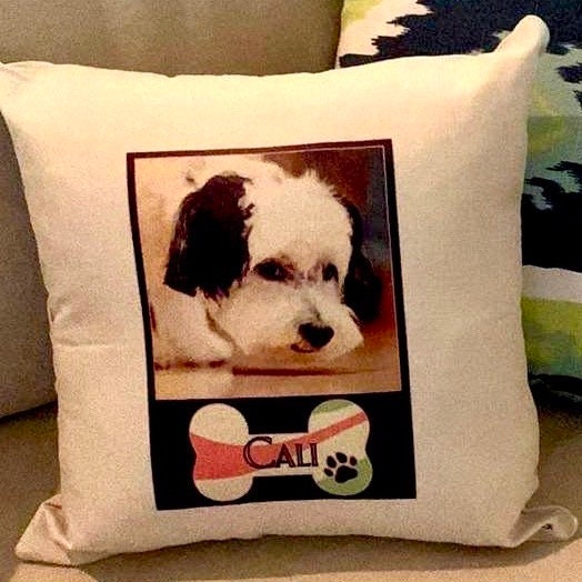 Custom Pet Pillow, samples of what we can offer and have done for customers. Pom Pom velour or Farm syle beige linen with name and image.