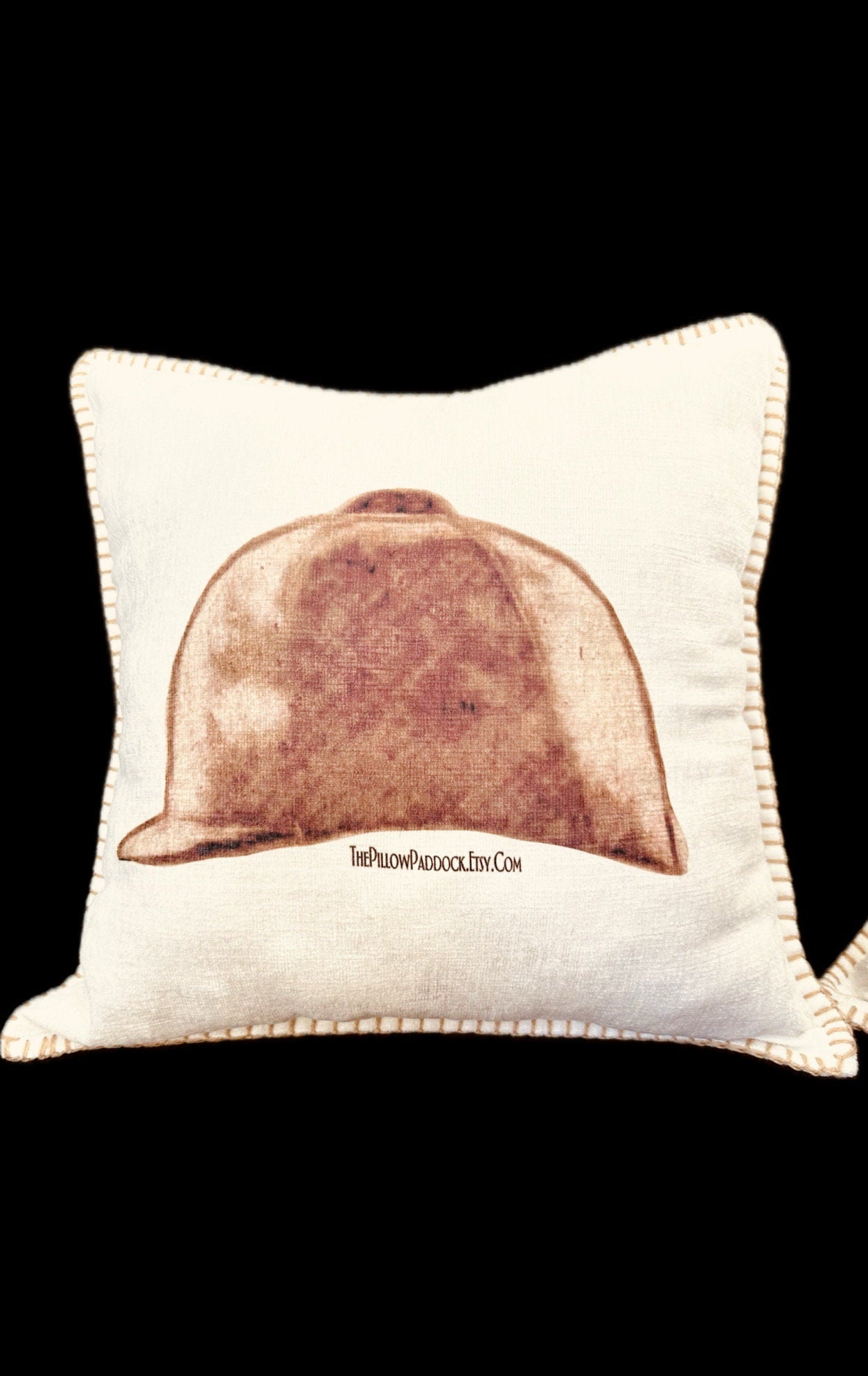 Ivory 16 x 16 chenille pillow with the Vintage Dark Helmet. These are so cozy and soft.